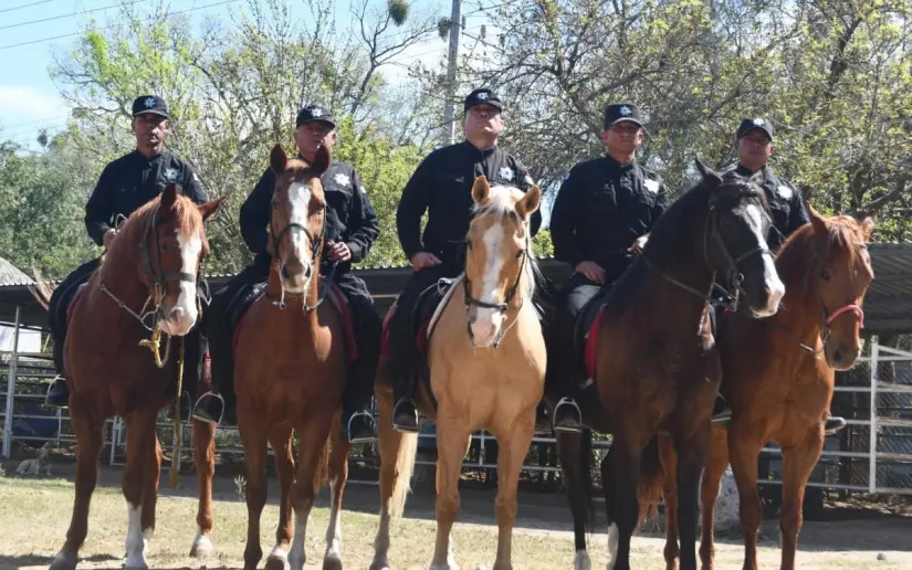La SSP cuenta con 48 caballos listos para galopar donde los vehículos no pueden llegar. Foto: Gobierno del Estado.