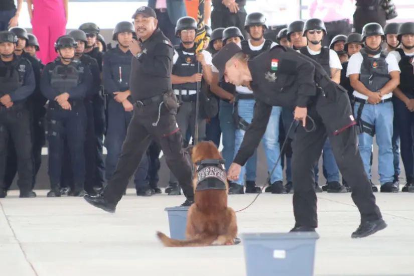 La SSP cuenta con 38 perros entrenados. Foto: Gobierno del Estado. 