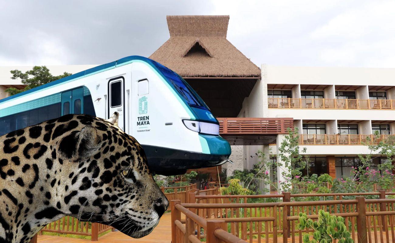 ¿Cuál es el paquete “La Tierra del Jaguar” del Tren Maya? Foto: Tren Maya | Canva