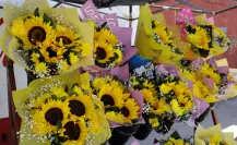 Saltillenses se unen a la euforia de las flores amarillas