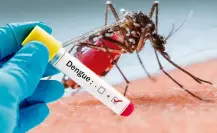 Coahuila contra el dengue, reportan 12 casos en 2025