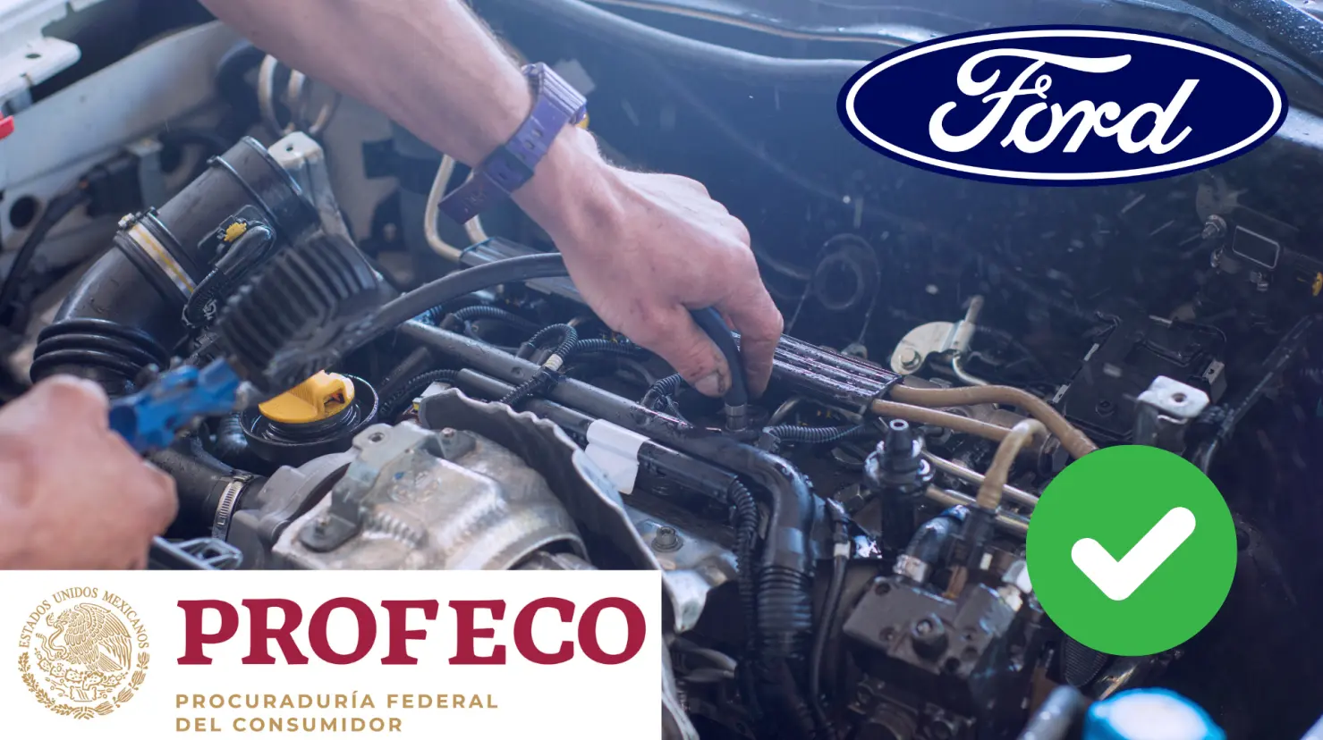 Profeco y Ford Motor Company ordenan revisión de más de 2,000 vehículos. Foto: Canva | Profeco | Ford
