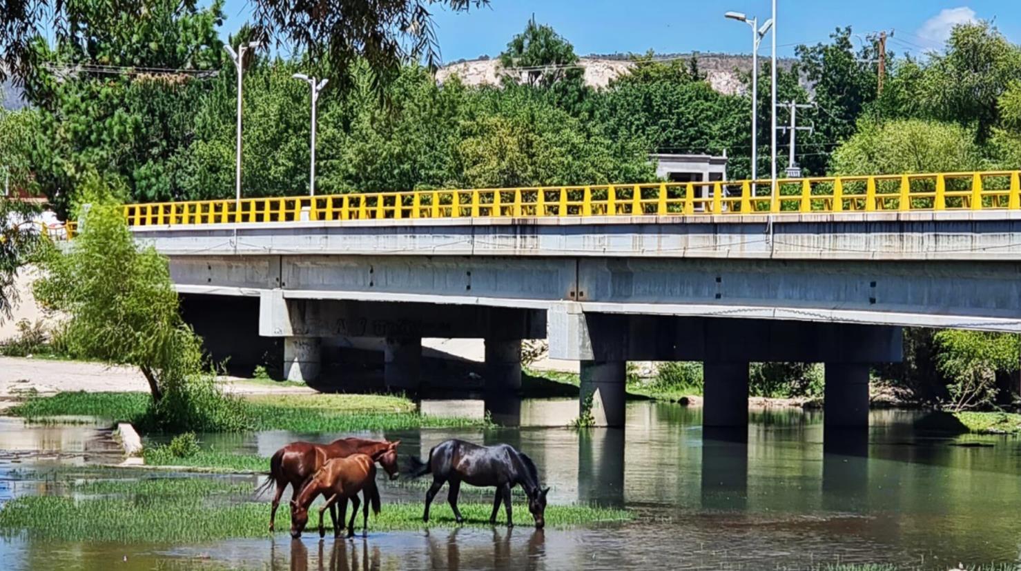 ¿Alguien dijo Turismo Rural? Visita estos poblados de Durango para empezar | Foto: El Nayar Durango, en Facebook.