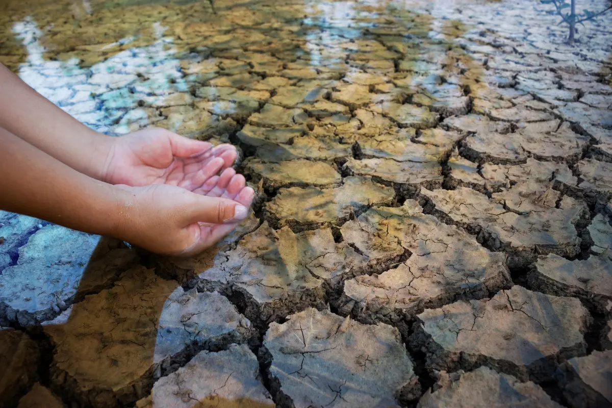 Los estados de Chihuahua y Sonora son de los que más afectaciones tienen por la sequía extrema y excepcional. Foto: Canva