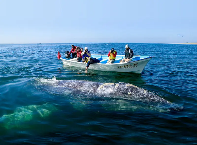 Foto: Villas del Palmar.