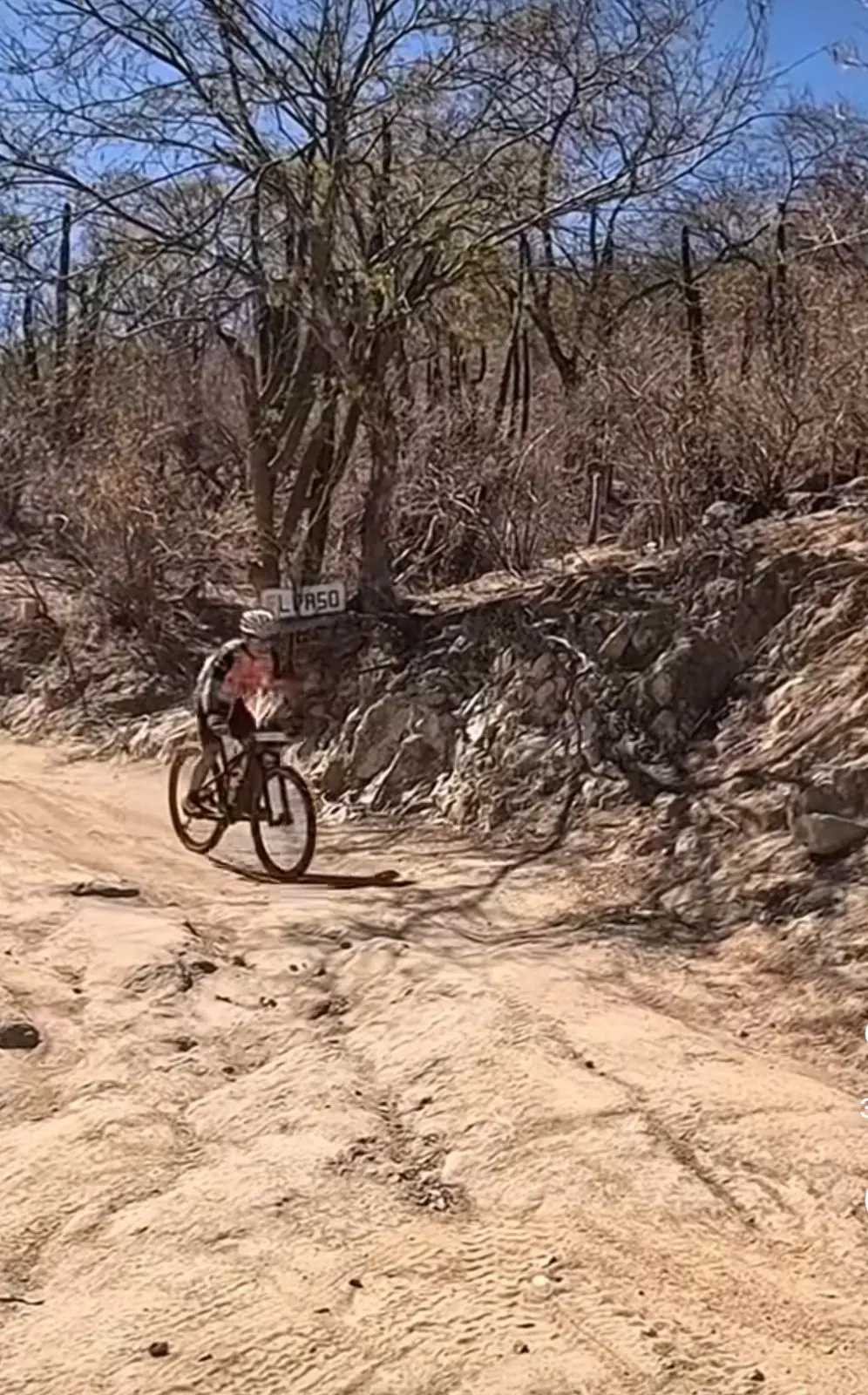 Foto: Fafacundo/Instagram.