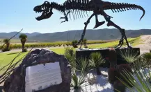 Descubre la Ruta Vinos y Dinos: historia y ecoturismo en Coahuila