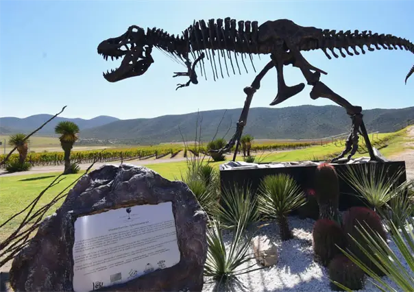 Descubre la Ruta Vinos y Dinos: historia y ecoturismo en Coahuila