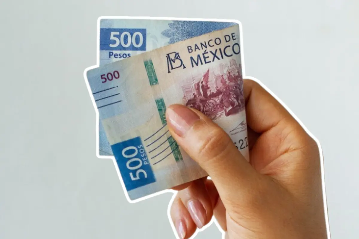 Los billetes de 500 pesos son los que más se falsifican actualmente. Foto: Axel Hassel