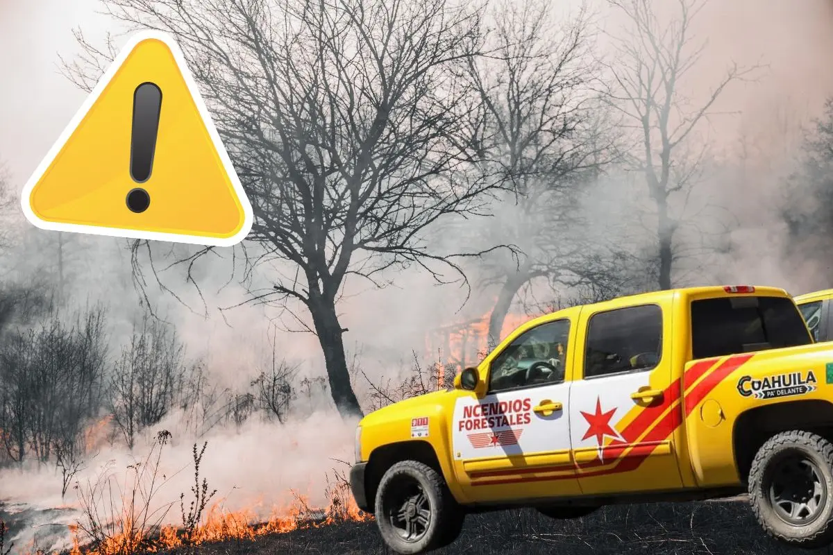 Protección Civil advierte de riesgos de incendios en Coahuila por llegada de la primavera / Fotos: Gobierno de Arteaga | Canva