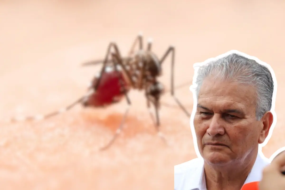 La Secretaría de Salud informó que realizan acciones en el sur del estado, ya que en esa región se ha reportado el 80% de los casos de dengue en Tamaulipas. Foto: CANVA