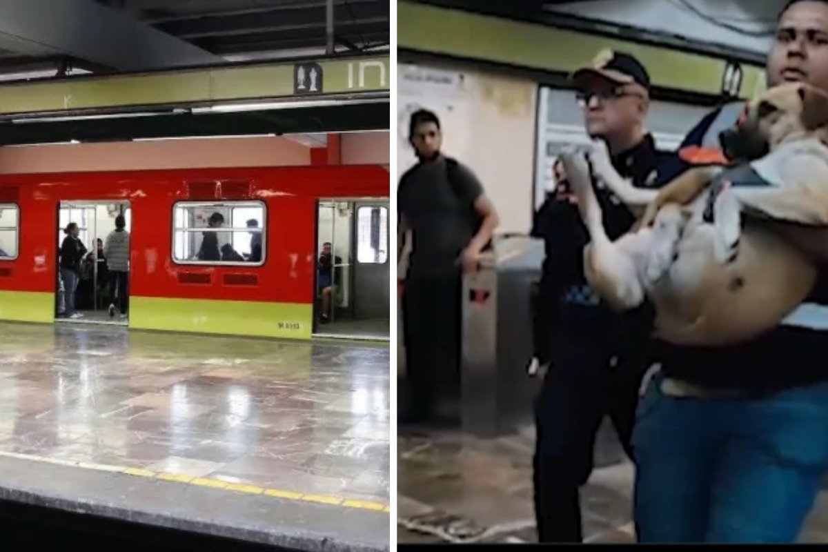 Estación Indios Verdes y rescate de lomito. Foto: Metro Captura de pantalla @SSC_CDMX | Canva