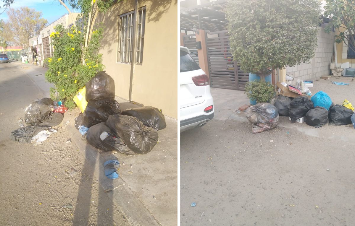 Vecinos de La Paz reportan acumulación de basura debido a fallas en la recolección programada. Foto: POSTA BCS