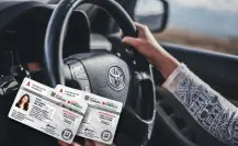 Licencia de conducir en Coahuila, ¿qué se necesita para renovar el plástico en 2025? 