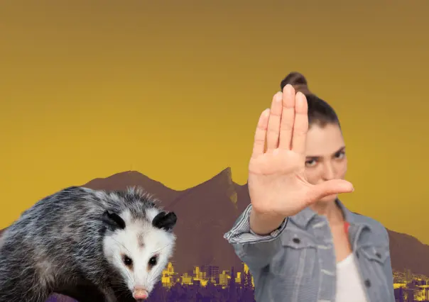 ¿Cómo denunciar el maltrato animal en Nuevo León?