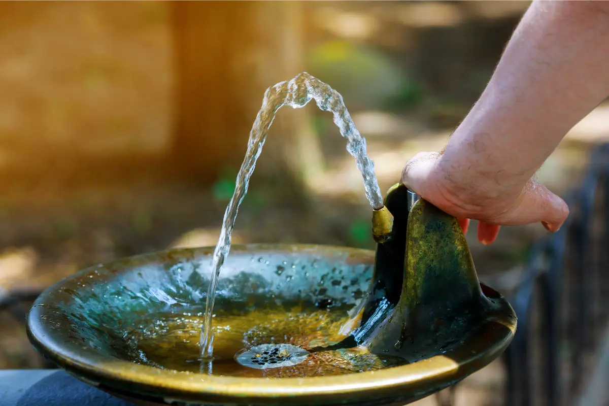 Este programa exigió una toma de agua con un nivel de purificación muy elevado, lo que dificultó su continuidad en planteles./Foto: Canva