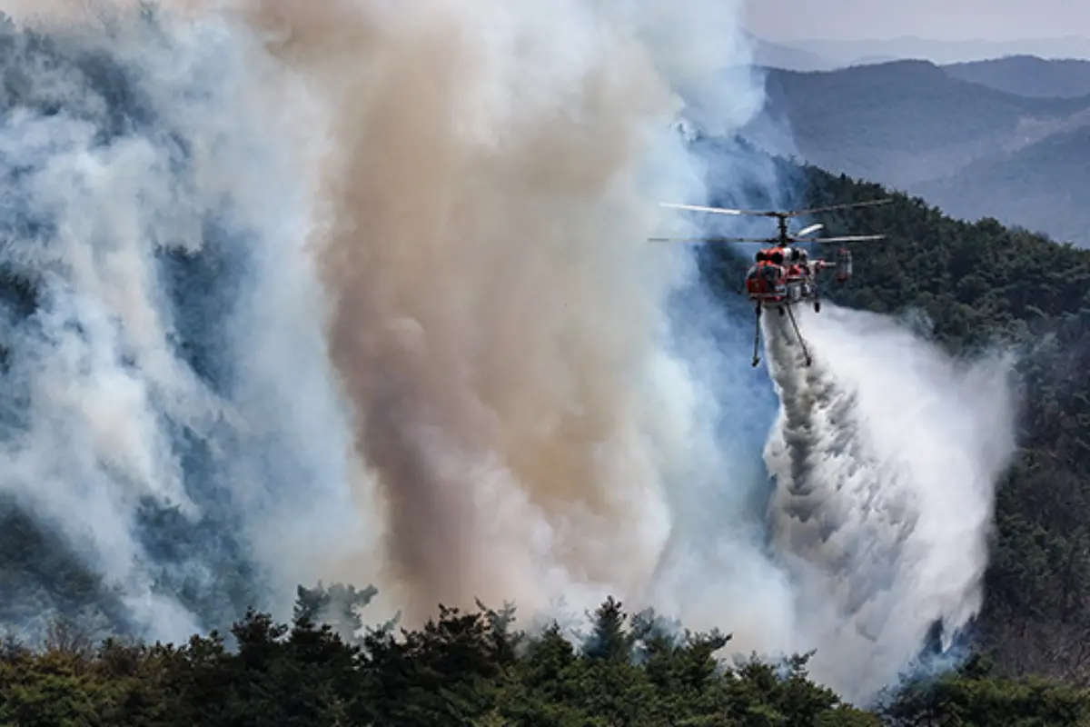La alerta nacional de desastre por incendios forestales se encuentra en nivel grave. Créditos: Yonhap News