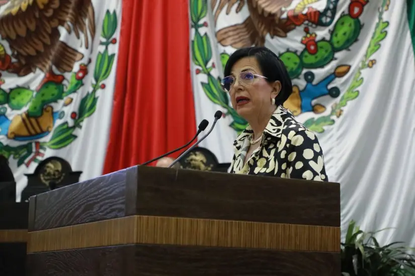 La legisladora aseguró que su intención fue llamar la atención sobre la gravedad del problema y no faltar al respeto a las víctimas ni a sus familias. Foto: 