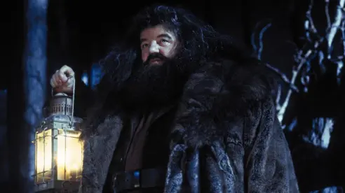 HBO quiere a conocido actor británico como Hagrid en la serie de Harry Potter