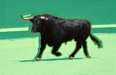 Partido Verde quiere una tauromaquia sin violencia en Nuevo León