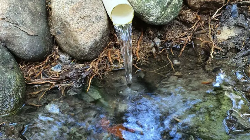 Con la sobreexplotación de 22 de las 39 fuentes de agua subterránea del estado, la agricultura enfrenta una grave escasez. Foto ilustrativa: Canva