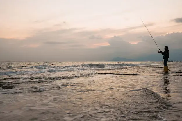 Para inscribirte al torneo de pesca 2025 en playa Barra del Tordo. Foto: Redes sociales 