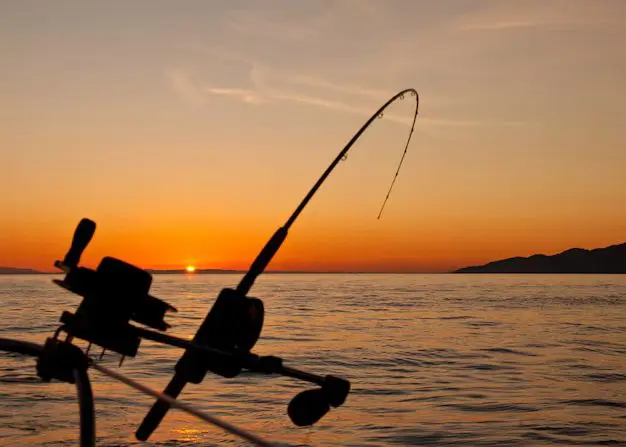El 29 y 30 de marzo se llevará a cabo el torneo de pesca 2025 en la playa Barra del Tordo en el municipio de Aldama, donde habrá diferentes actividades y premios. Foto: Redes sociales 