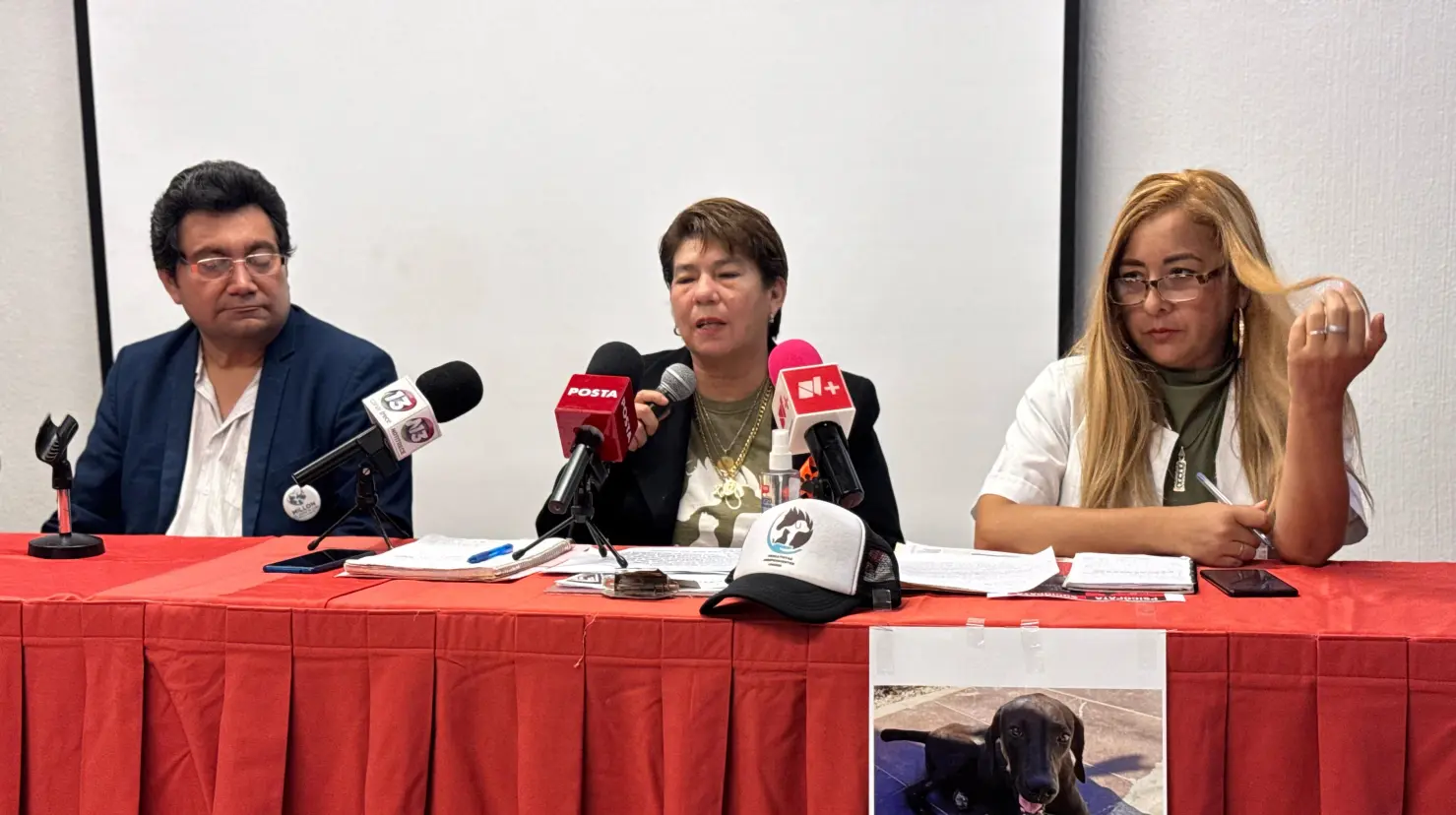 ¿Qué pasó con Negrita?. Foto: Alejandra Vargas