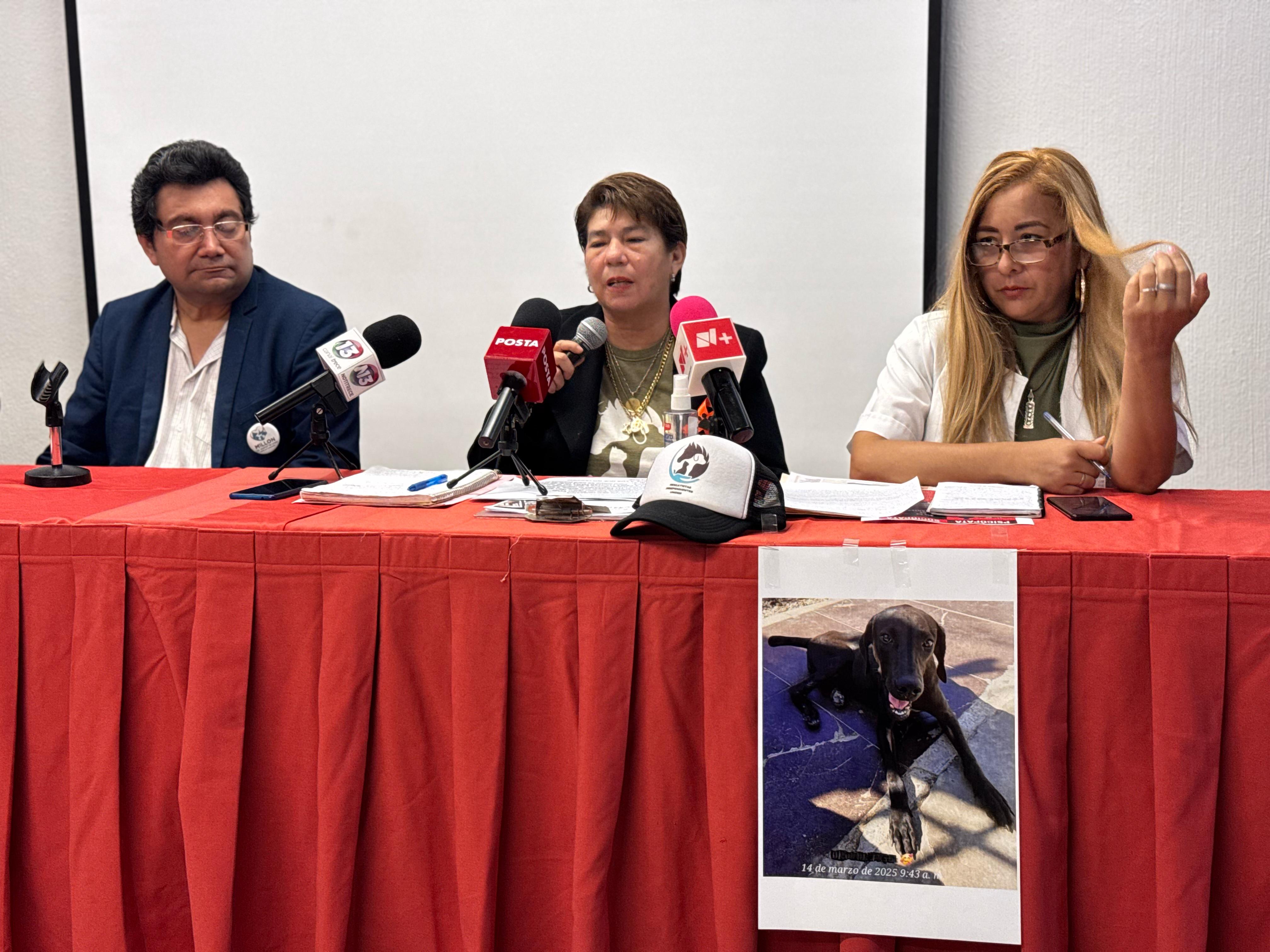 Activistas por los derechos de los animales exigen justicia por "Negrita"