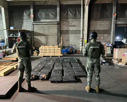 Asegura Marina 320 kilos de marihuana en el Puerto de Altamira