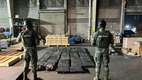 Asegura Marina 320 kilos de marihuana en el Puerto de Altamira