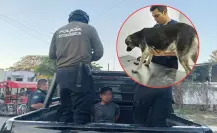 Detienen a una persona en Kanasín por maltrato animal reportado en redes sociales