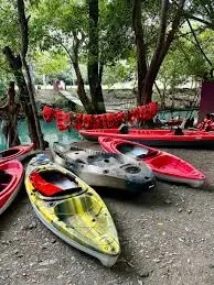 Renta de kayaks. Foto: Redes Sociales
