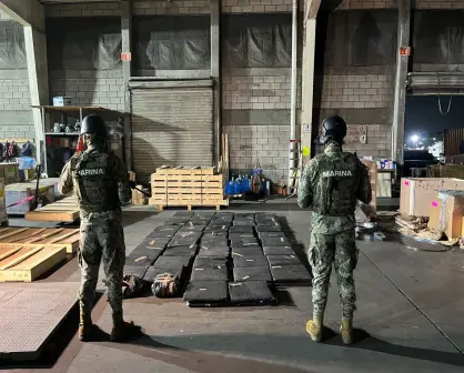 Marina asegura 320 kilogramos de marihuana en Altamira