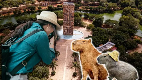 ¿Capibaras en Mérida? Este el único lugar de la ciudad donde puedes verlos
