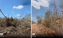 PROFEPA actúa por caso de ecocidio en la Reserva Cuxtal