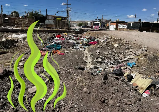 Tiradero clandestino de basura provoca malos olores en el San José 2