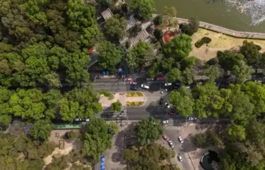 Conoce las colonias con más árboles, áreas verdes y parques en CDMX