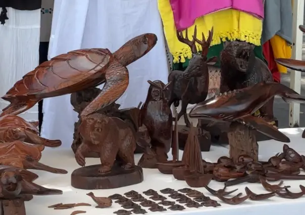 Descubre MOA: espacio de productores y artesanos locales creativos