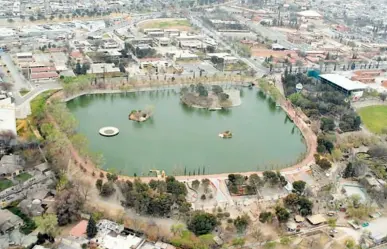 Aves migratorias llegan a Saltillo con la llegada de la primavera