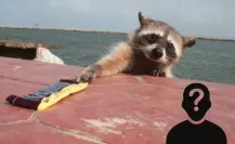 Buscan a hombre de la tercera edad por maltrato a mapaches en Playa Miramar