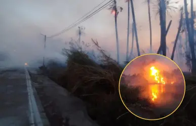 Incendio en San Ignacio controlado: informan 40 hectáreas de palmar perdidas