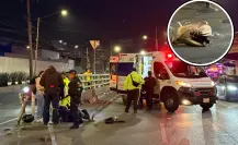 Tres lesionados tras derrapar la moto en la que viajaban en Coyoacán