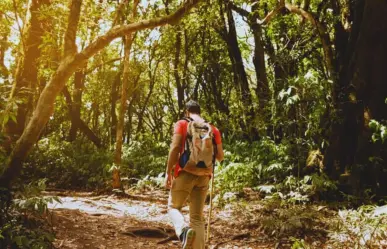 ¿Qué llevar en tu mochila para hacer senderismo en Tamaulipas?