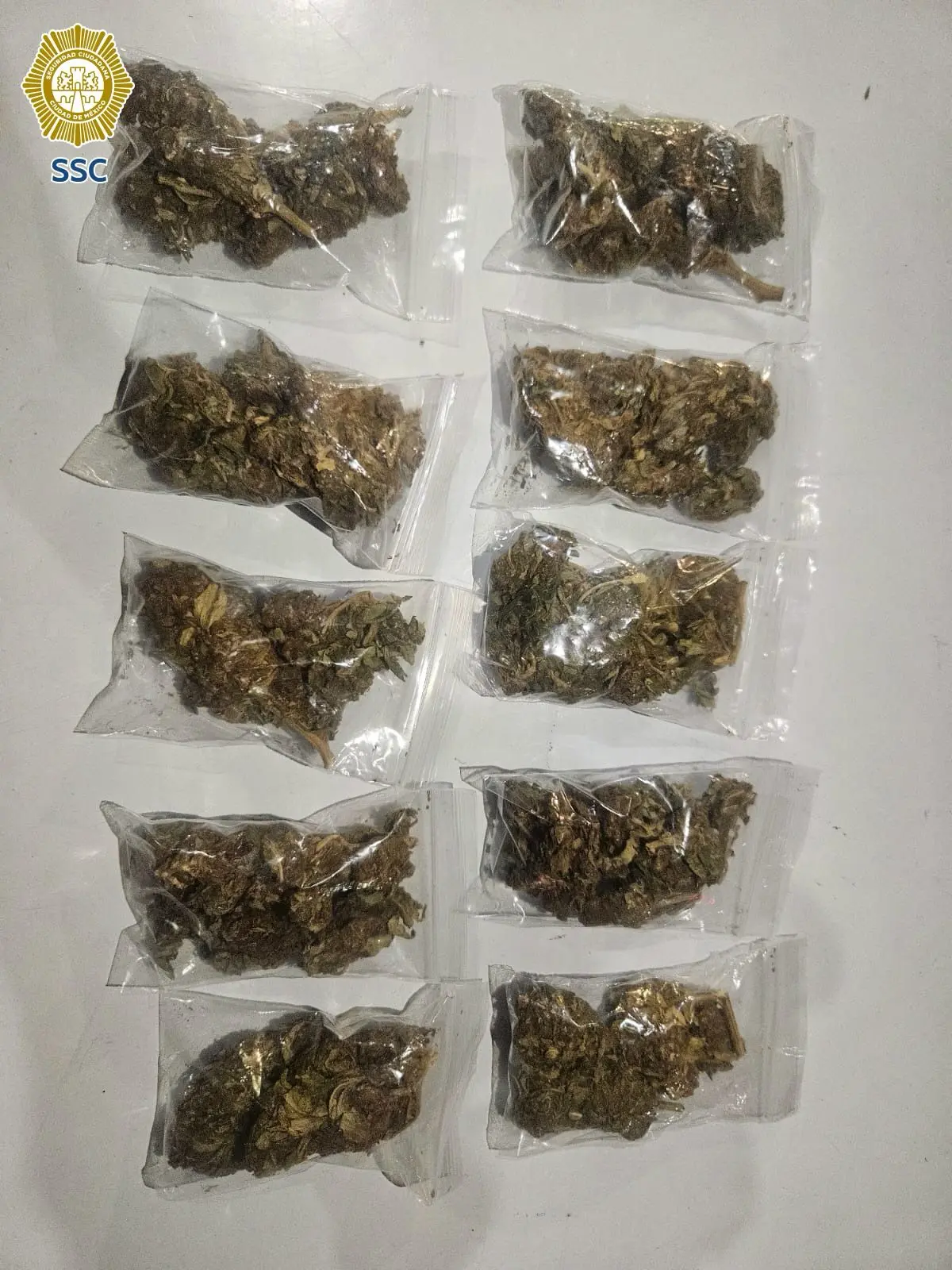 imagen recuadro Foto: SSC CDMX