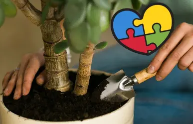 Estas son 7 plantas florales de Nuevo León que pueden estimular a personas autistas
