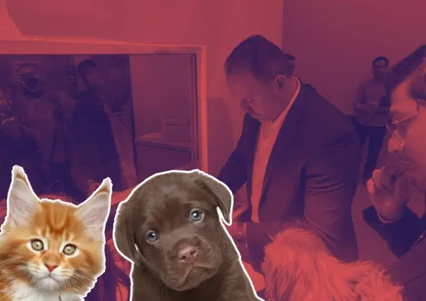 Buscan que en García se realice una comisión de Bienestar Animal y de Medio Ambiente