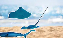 ¿Cuáles son las posibles causas del varamiento masivo de rayas y tiburones en El Mogote?
