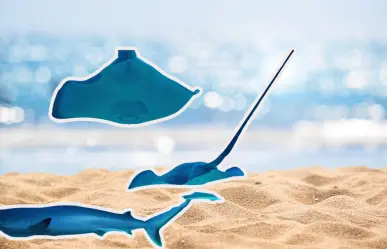 ¿Cuáles son las posibles causas del varamiento masivo de rayas y tiburones en El Mogote?