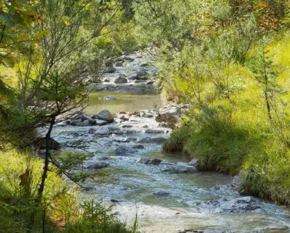 Este río con atractivos parajes está a 60 minutos de Monterrey y puedes visitarlo en Semana Santa